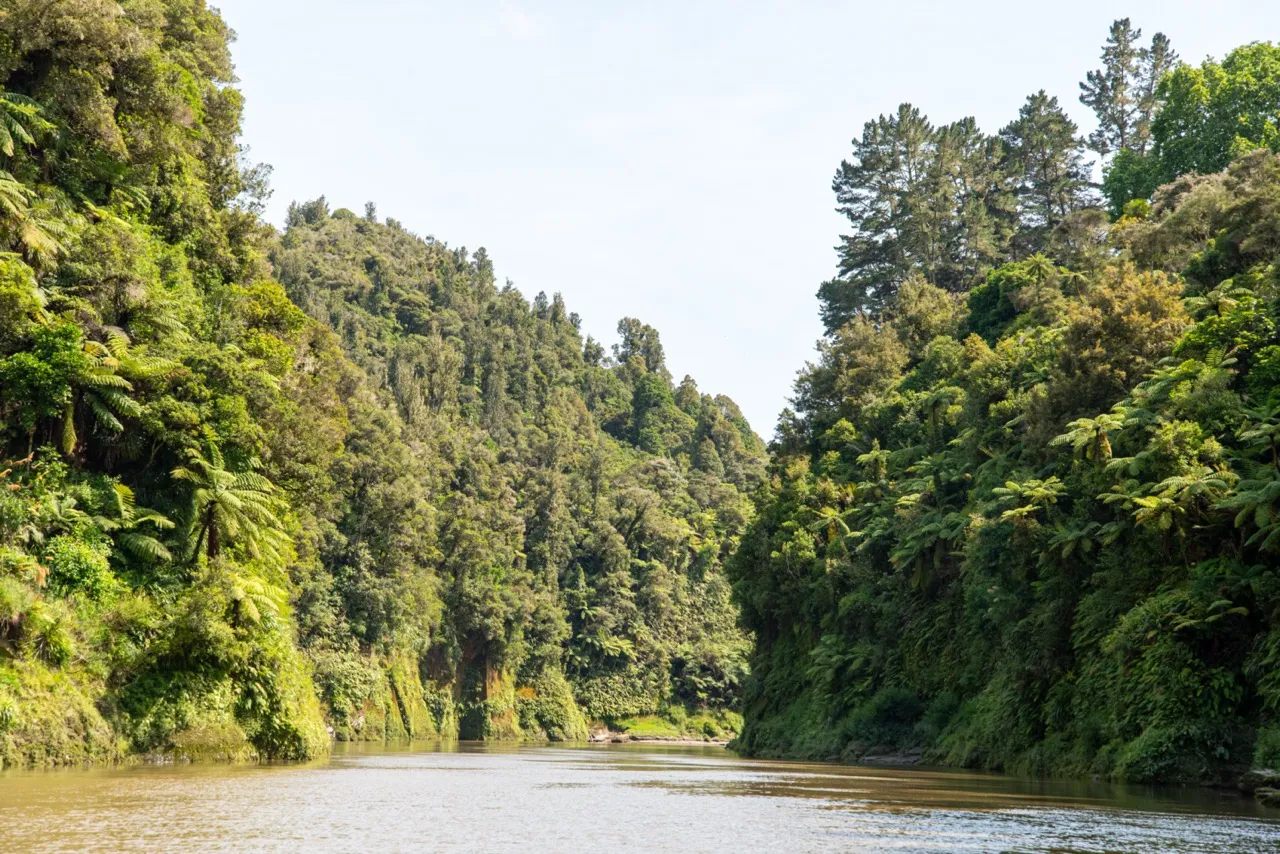 whanganui national park